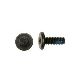 922-7311 - Apple M2X5.5 4.5D T6 Screw for MacBook Pro 15