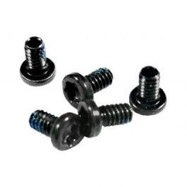 922-9539 - Apple 3.6mm Torx T6 Screw for MacBook Pro 17