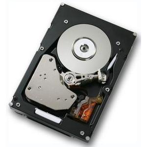 17R6285 - Hitachi Ultrastar 10K300 Series 147GB 10000RPM Fibre Channel 2Gb/s 16MB Cache 3.5-inch Hard Drive