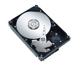 40K1126 - IBM 146.8GB 10000RPM SAS 3Gb/s Hot Swappable 3.5-Inch Hard Drive with Tray