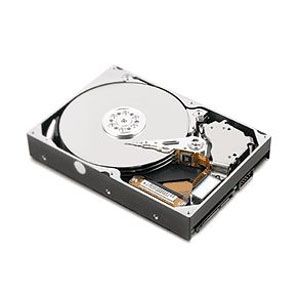 09N4248 - IBM 80GB 7200RPM IDE Ultra ATA/100 (ATA-6) 3.5-Inch Hard Drive