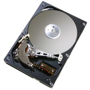 0A30216 - HGST Deskstar 7K80 Series 40GB 7200RPM ATA-133 2MB Cache 40-Pin 3.5-inch Hard Drive