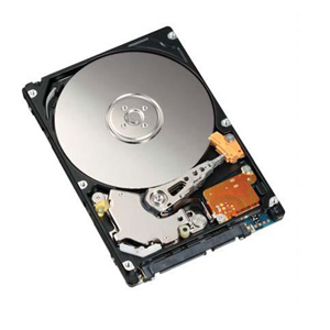 T369G - Dell 250GB 5400RPM SATA 3Gb/s Hot-Swappable Plug-in Module 8MB Cache 2.5-Inch Hard Drive